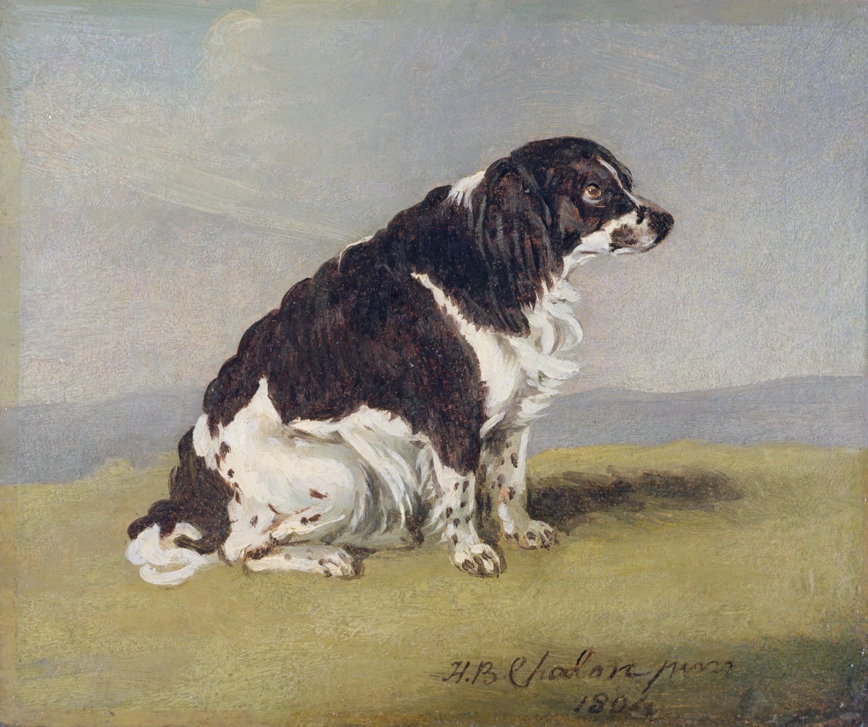 Il cagnolino della Duchessa di York, 1804 da Henry Bernard Chalon