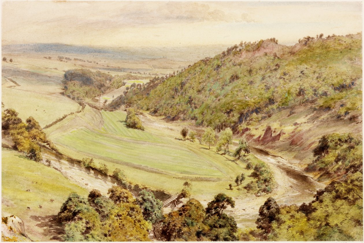 Birdoswald da Henry Burdon Richardson