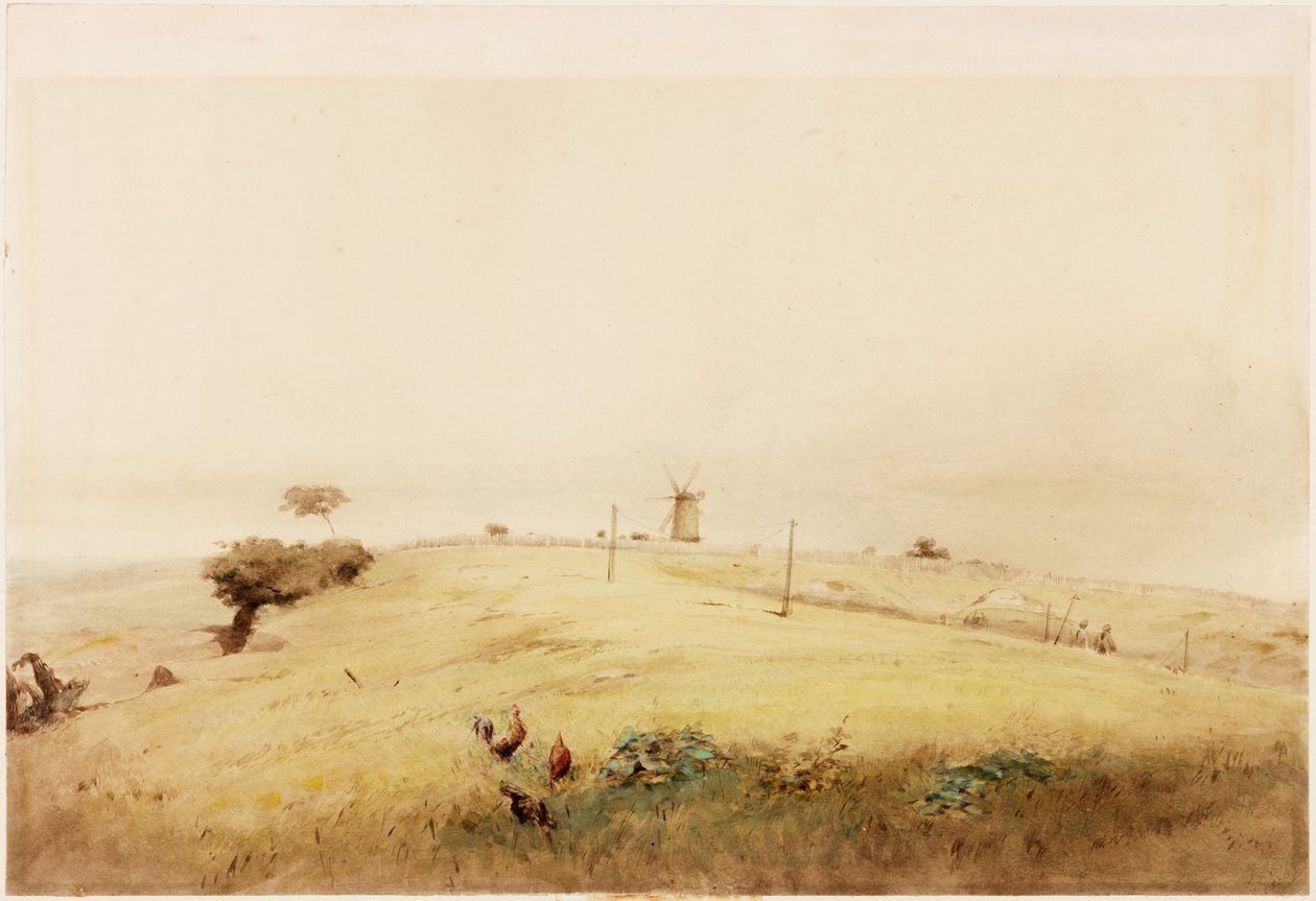 Uno degli Aggers del Vallum, in cima alla Westgate Road, Newcastle, come appariva nel 1848 da Henry Burdon Richardson