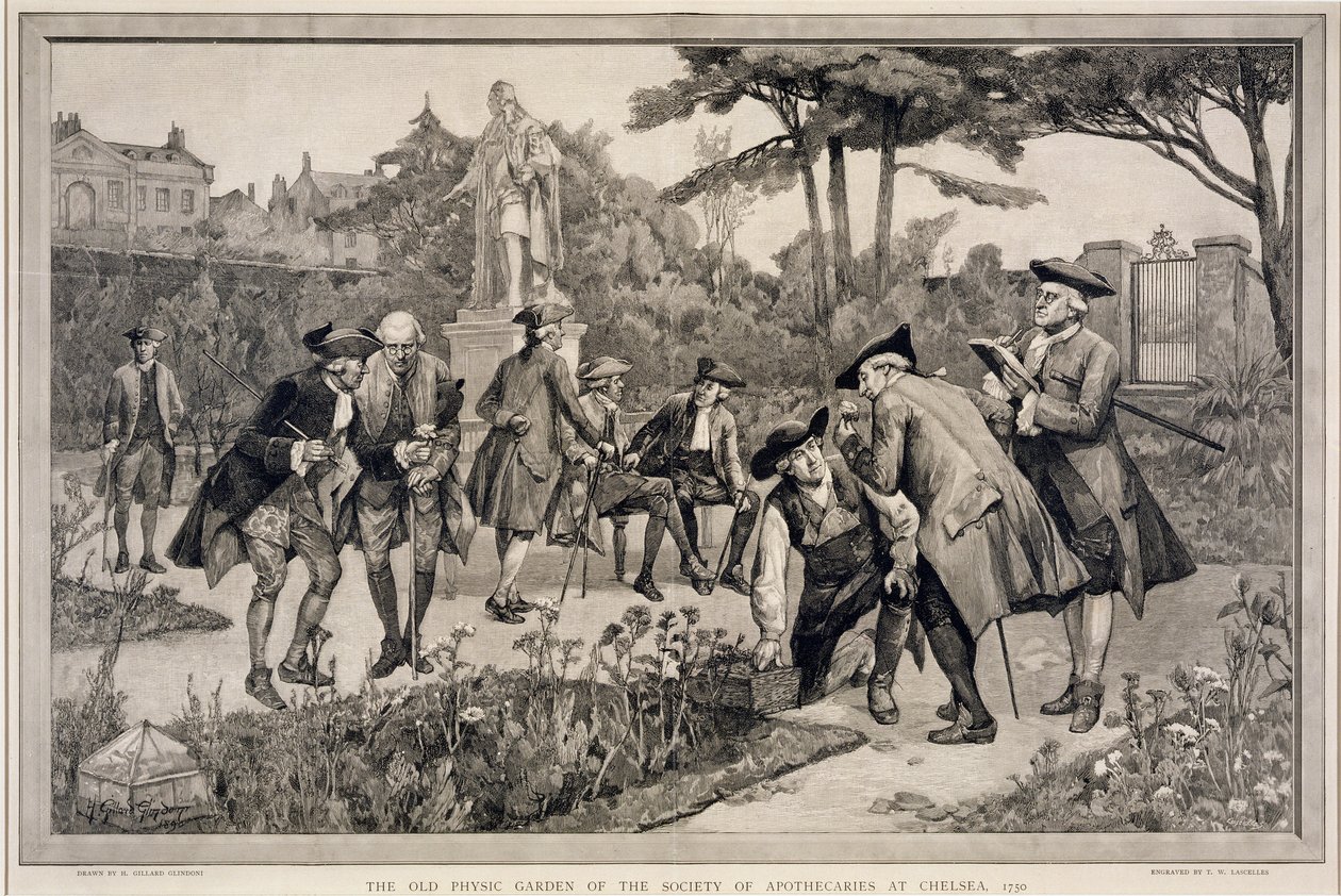 Il vecchio giardino fisico della Society of Apothecaries a Chelsea, 1750, inciso da Thomas W. Lascelles, 1890 da Henry Gillard Glindoni
