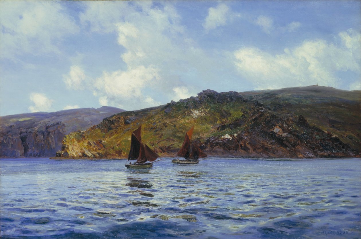 Gatti di mare al largo della terra da Henry Moore