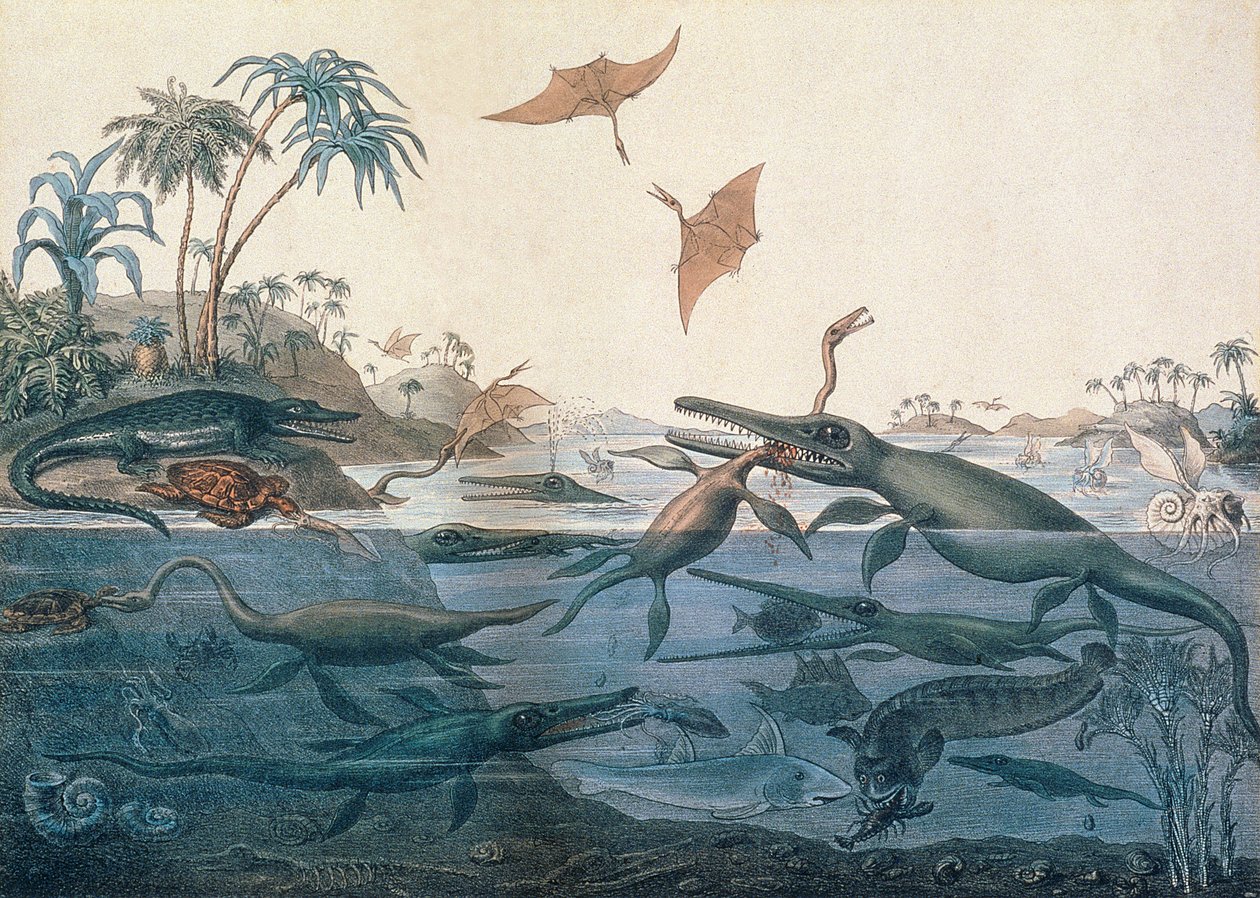 Duria antiquior (Antico Dorset), una ricostruzione immaginativa della vita dei mari giurassici, inciso da George Scharf e stampato da Charles Joseph Hullmandel da Henry Thomas De La Beche