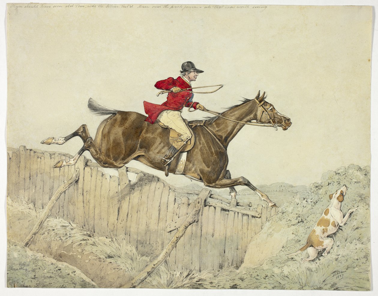 Cavaliere dal manto rosa da Henry Alken