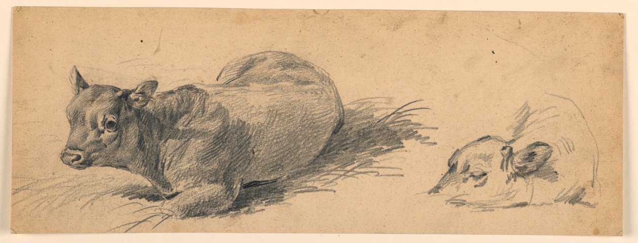 Studio di un giovane toro sdraiato in un prato da Henry Bernard Chalon