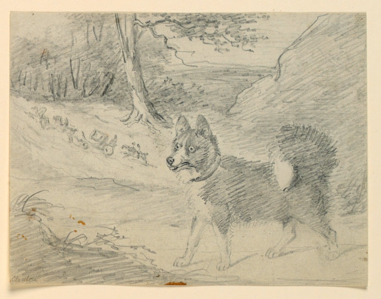 Studio di un cane alce da Henry Bernard Chalon