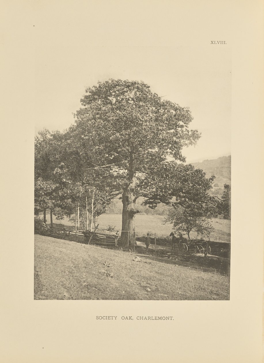 Società Oak, Charlemont da Henry Brooks