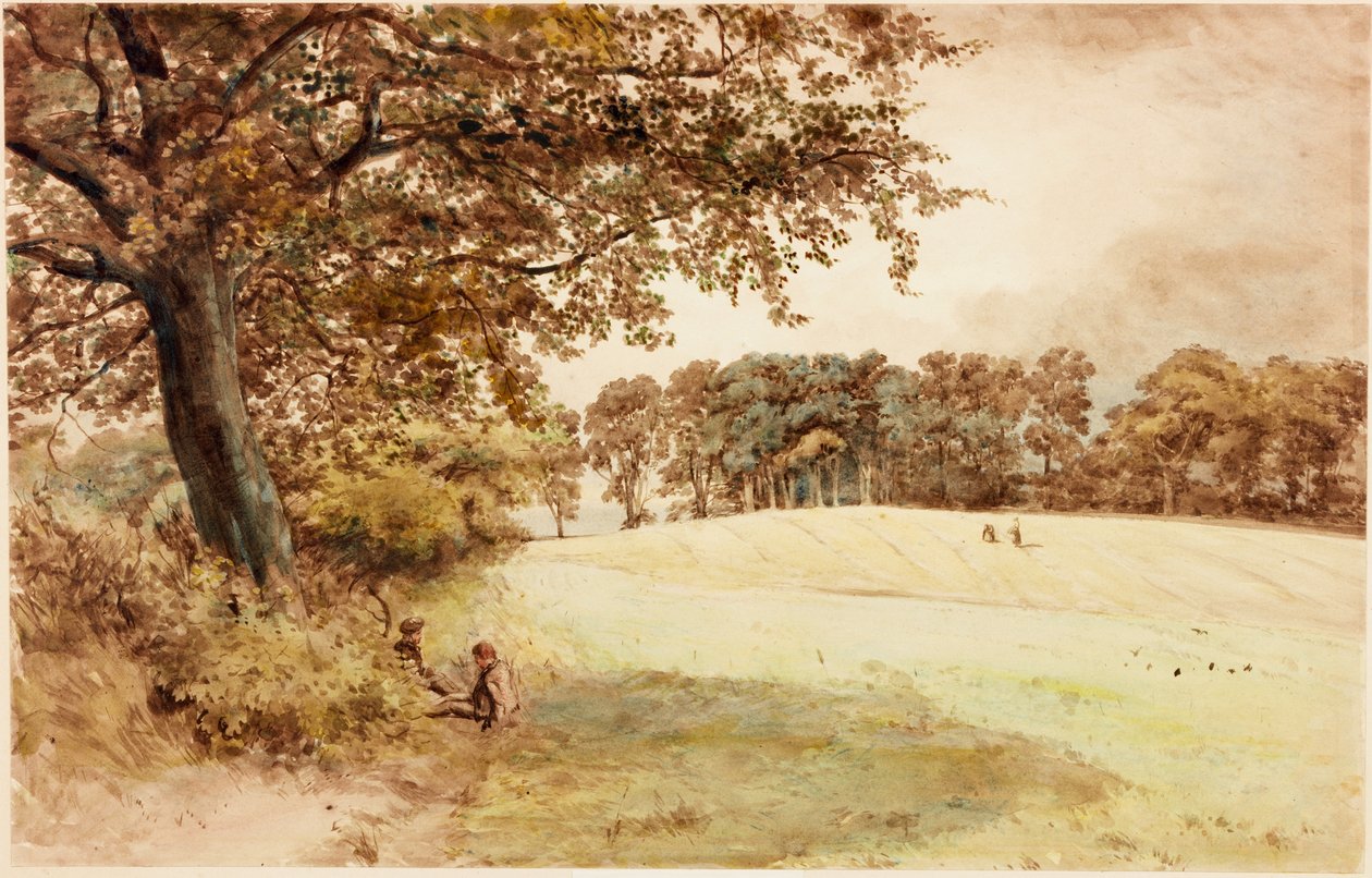 Benwell Hill Top da Henry Burdon Richardson