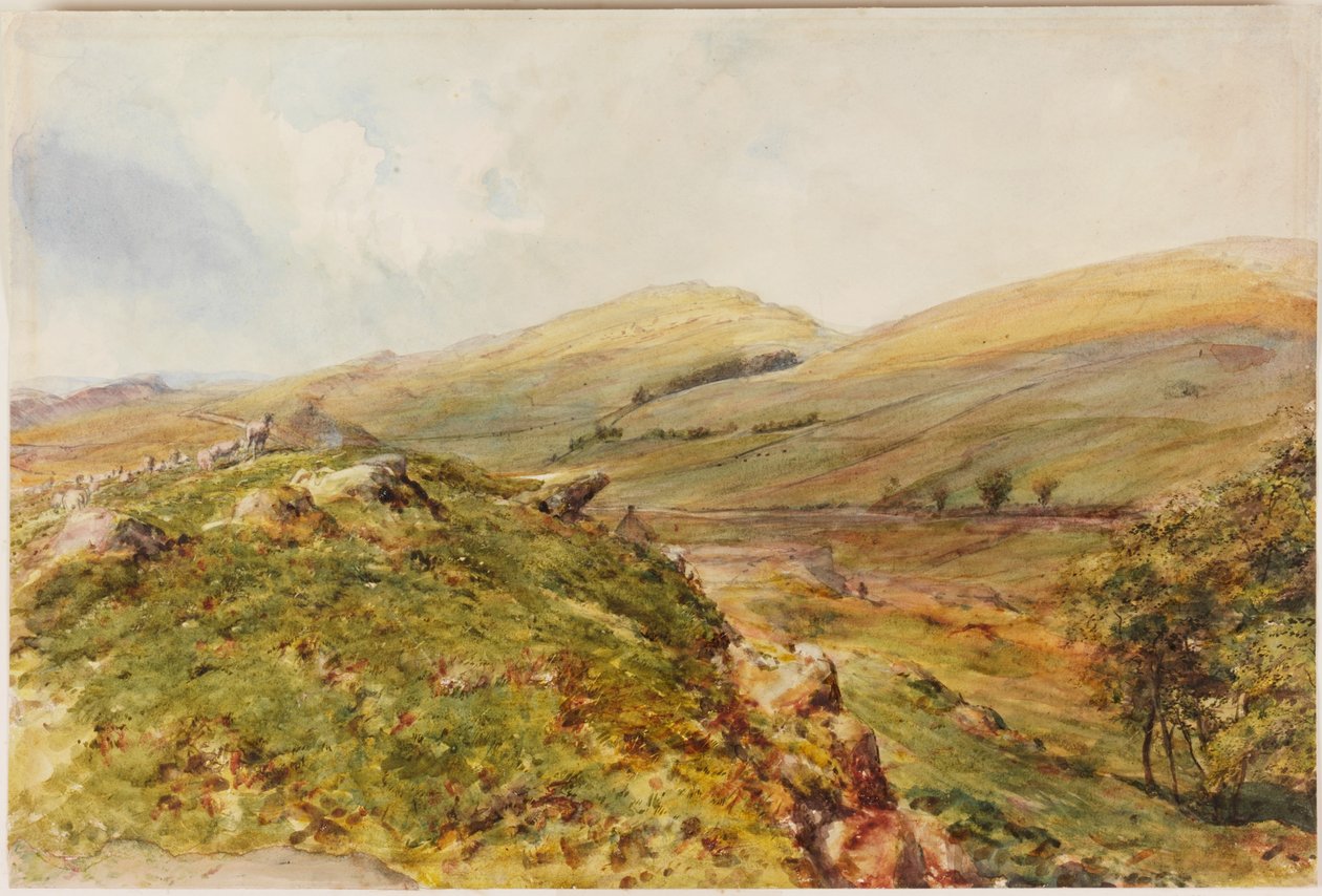 Cockmount Hill da Henry Burdon Richardson