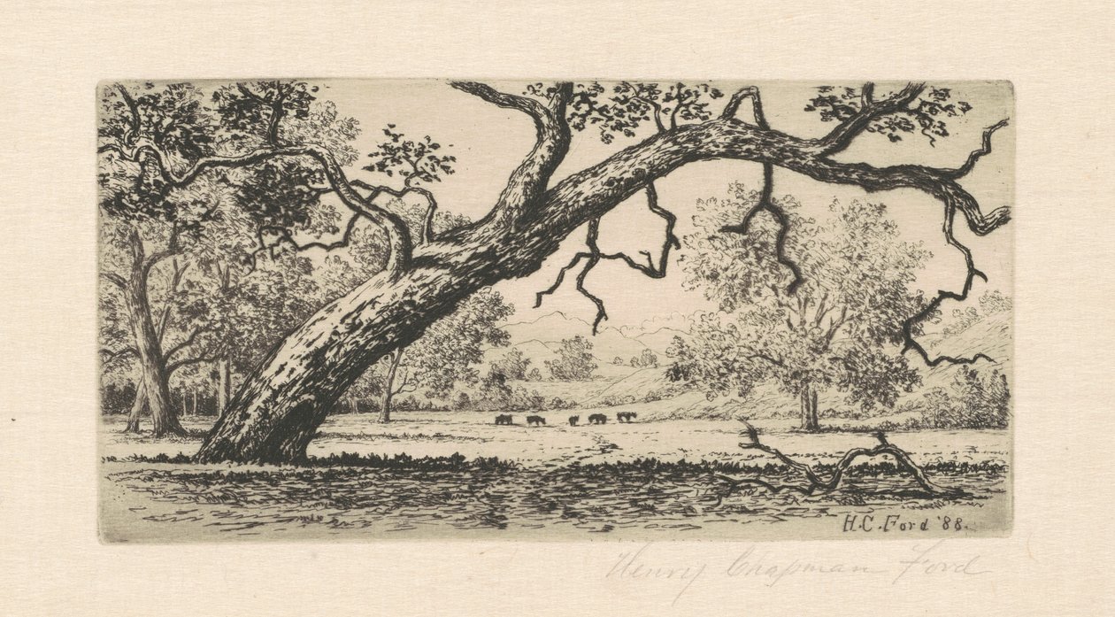Paesaggio californiano da Henry Chapman Ford