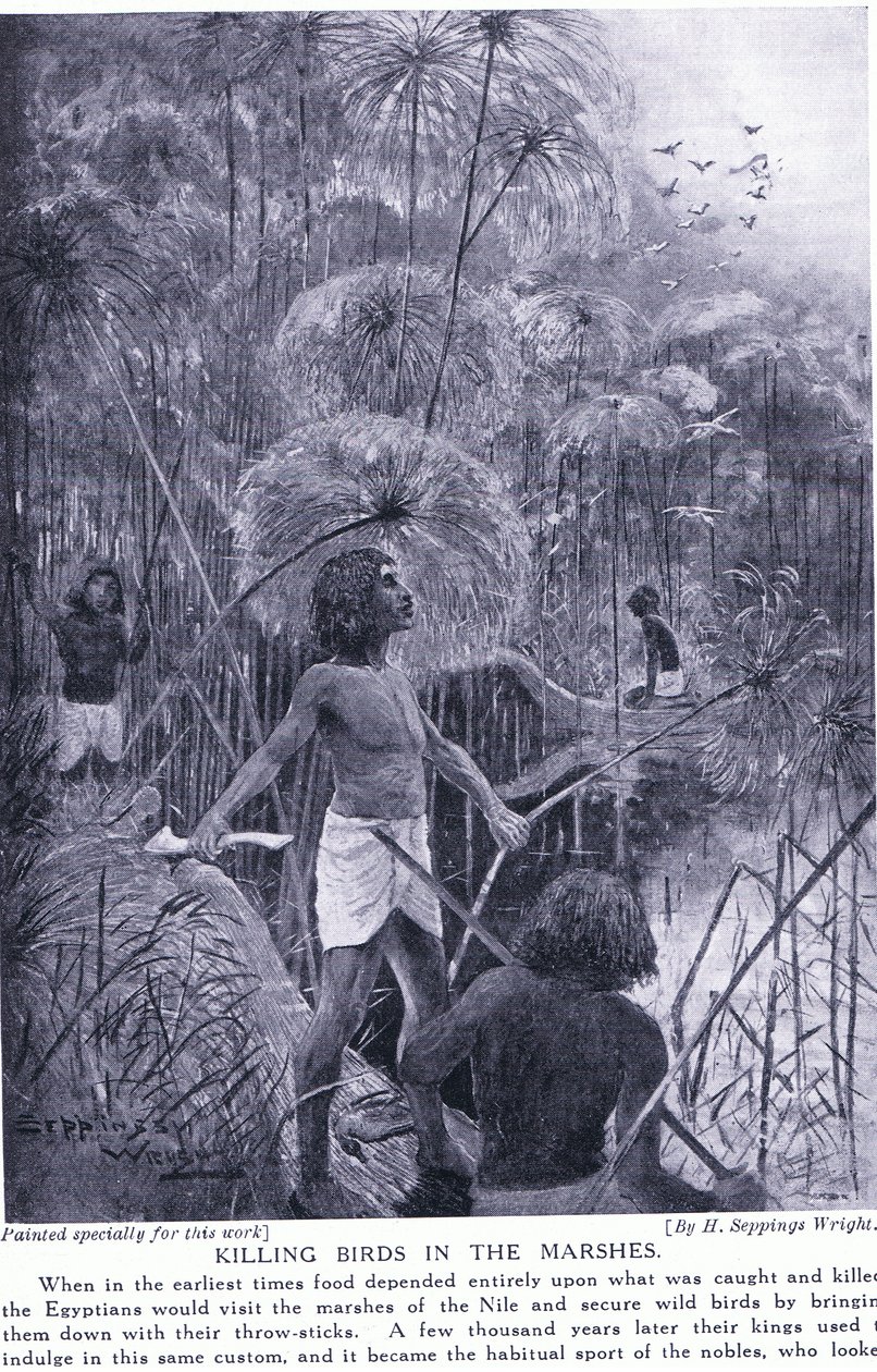 Caccia agli uccelli nelle paludi, c.1920 da Henry Charles Seppings Wright