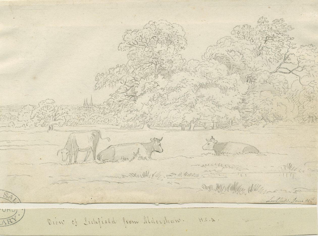 Lichfield - Vista da Aldershaw da Henry Curzon Allport