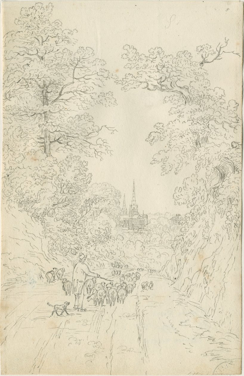 Cattedrale di Lichfield - Vista Sud Est da Henry Curzon Allport