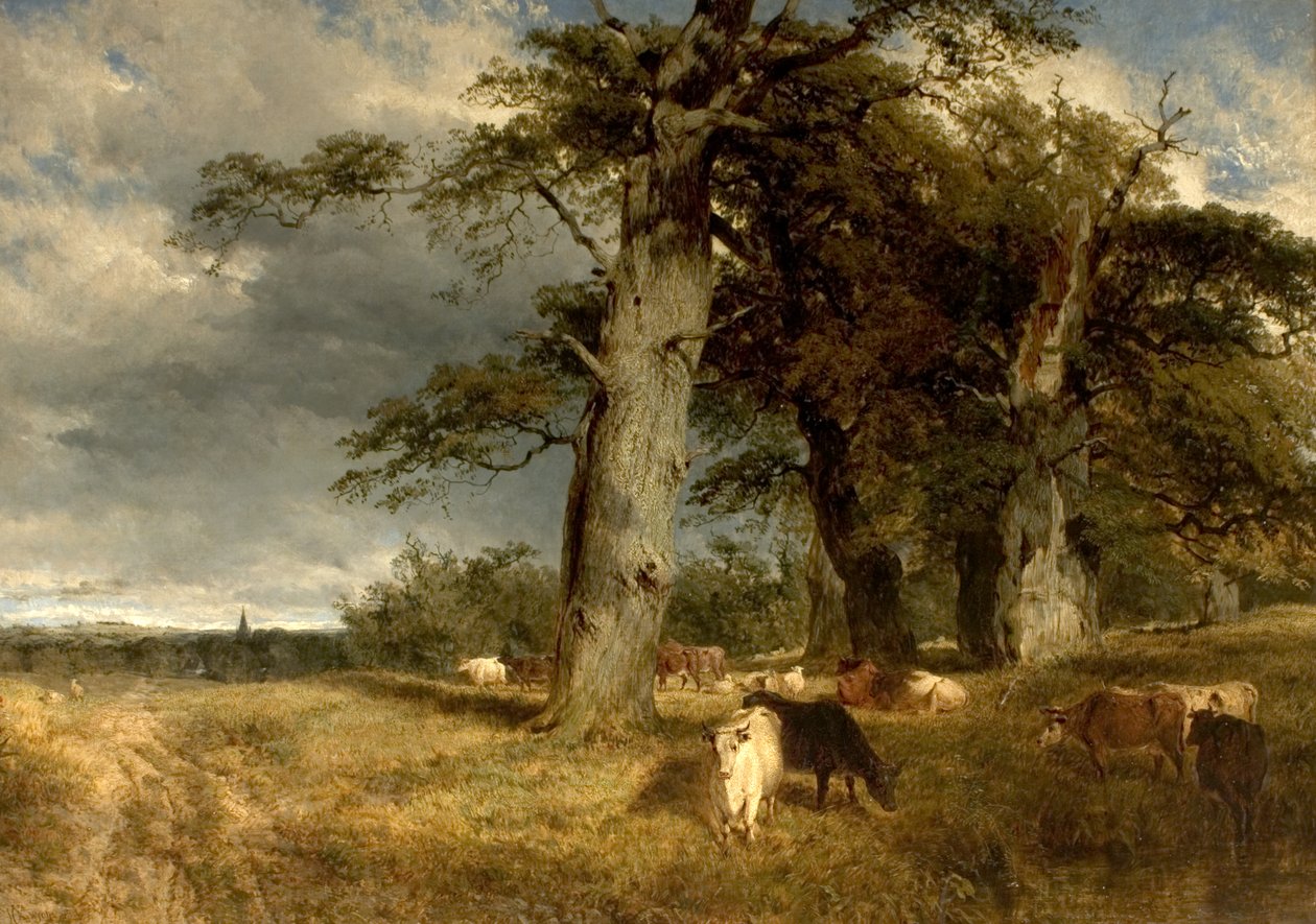 Paesaggio nelle Dukeries, Nottinghamshire, 1850 da Henry Dawson