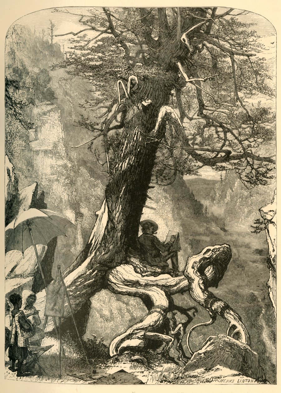 Sopra il ponte naturale da Henry Duff Linton