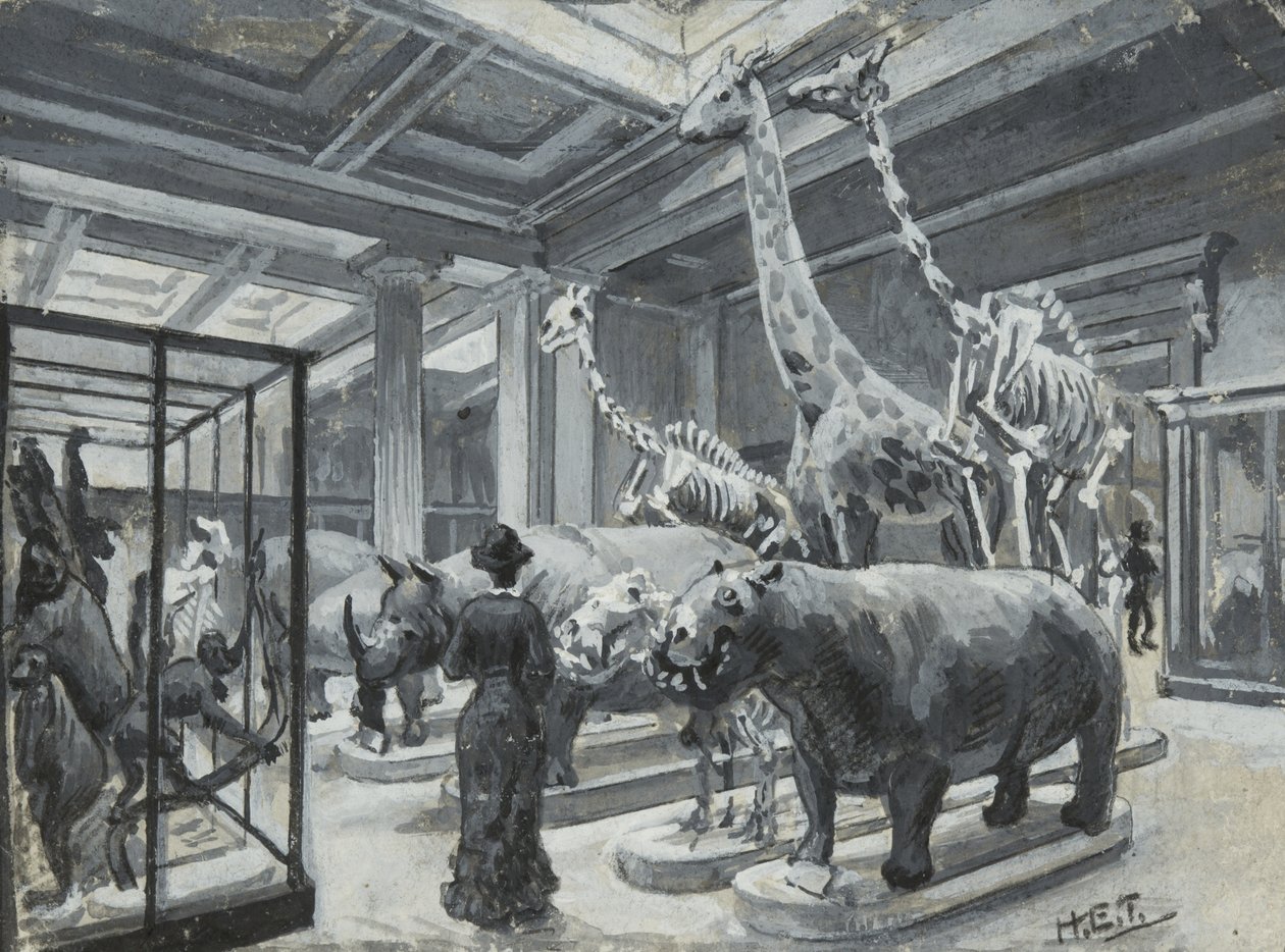 Vista interna del Museo Britannico che mostra la galleria contenente esposizioni di animali, c.1880 da Henry Edward Tidmarsh