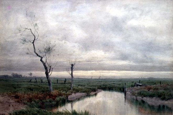 Paludi costiere da Henry Farrer