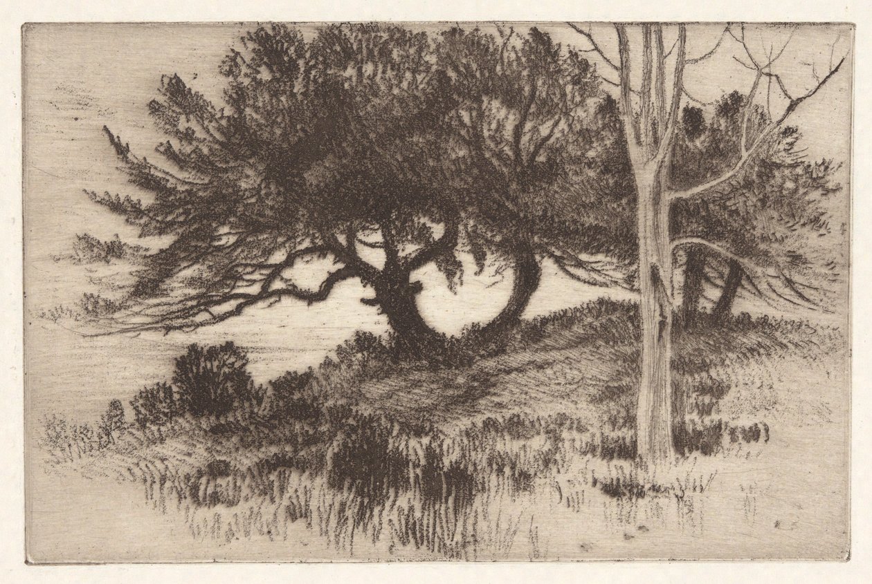 Vicino al mare da Henry Farrer