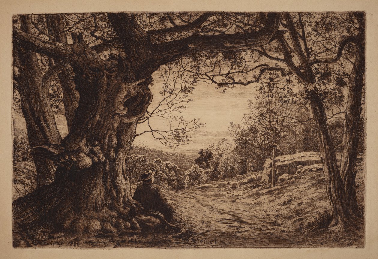 Sul pendio da Henry Farrer