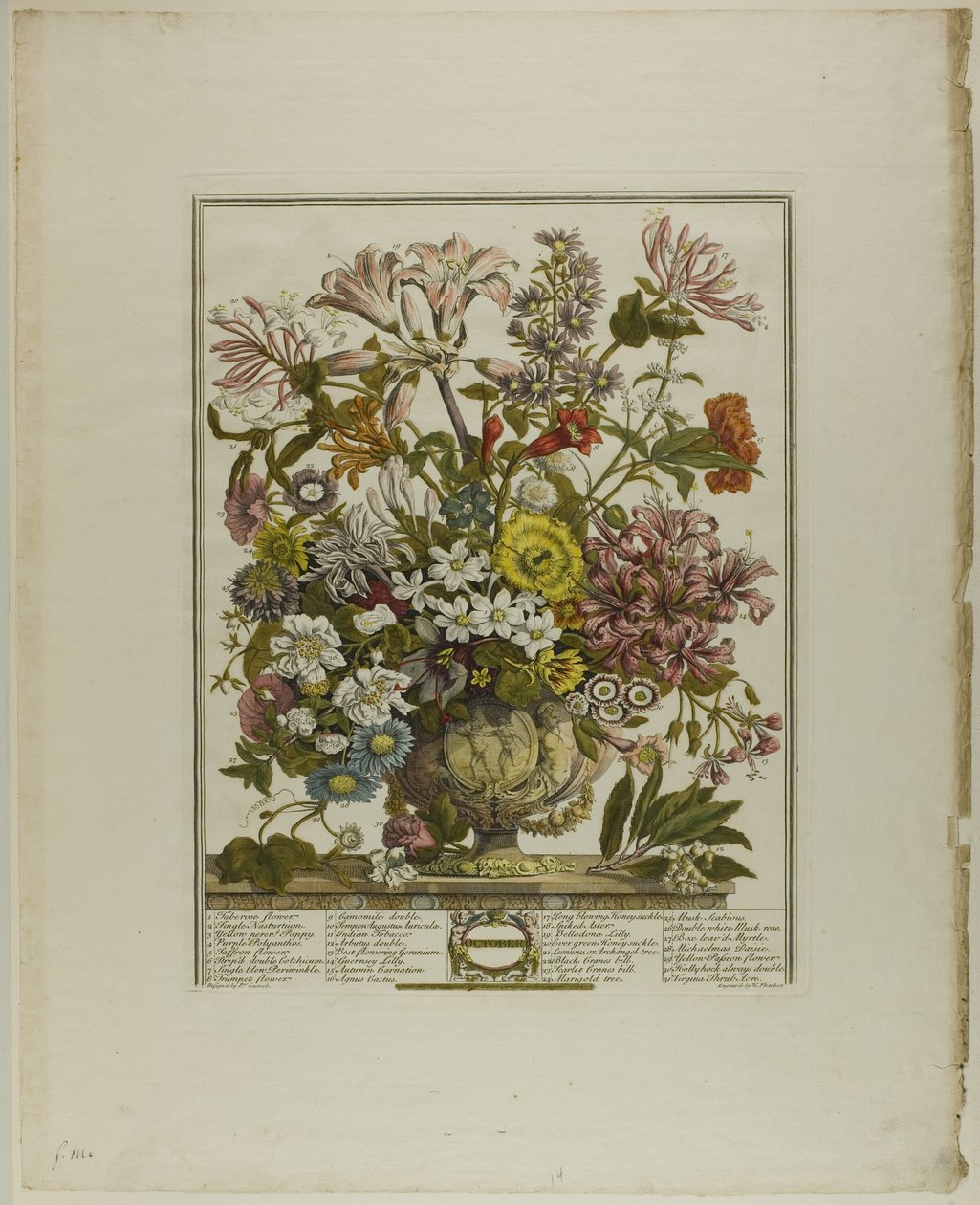 Ottobre, dai Dodici Mesi di Fiori da Henry Fletcher