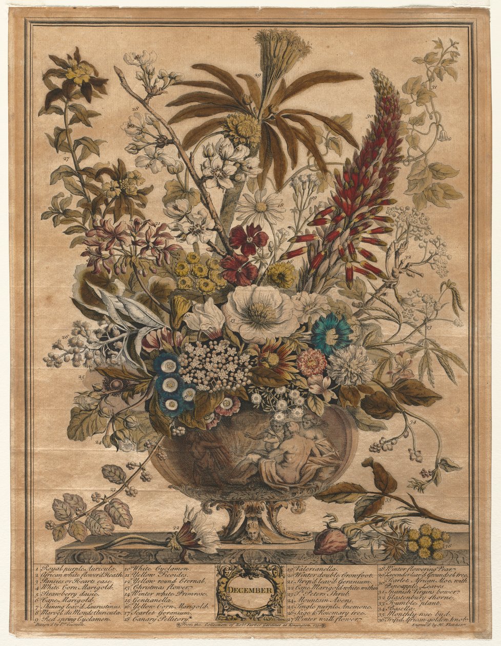 Dodici Mesi di Fiori: Dicembre da Henry Fletcher