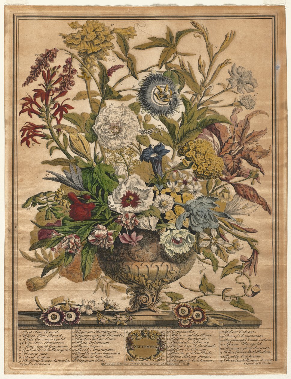 Dodici mesi di fiori: Settembre da Henry Fletcher