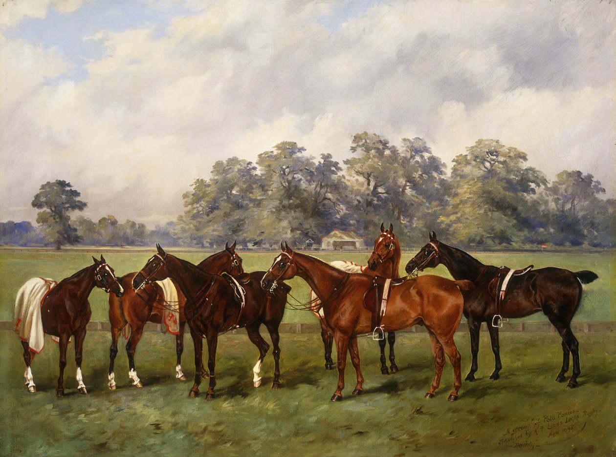 Un Gruppo di Pony da Polo, Dainty, Gold, Redskin, Miss Edge e Piper, di Proprietà di Sir Humphrey de Trafford, Bart, 1895 da Henry Frederick Lucas Lucas
