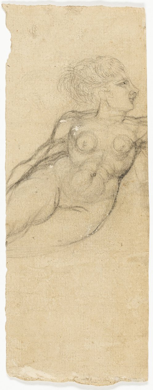 Studi di nudo da Henry Fuseli