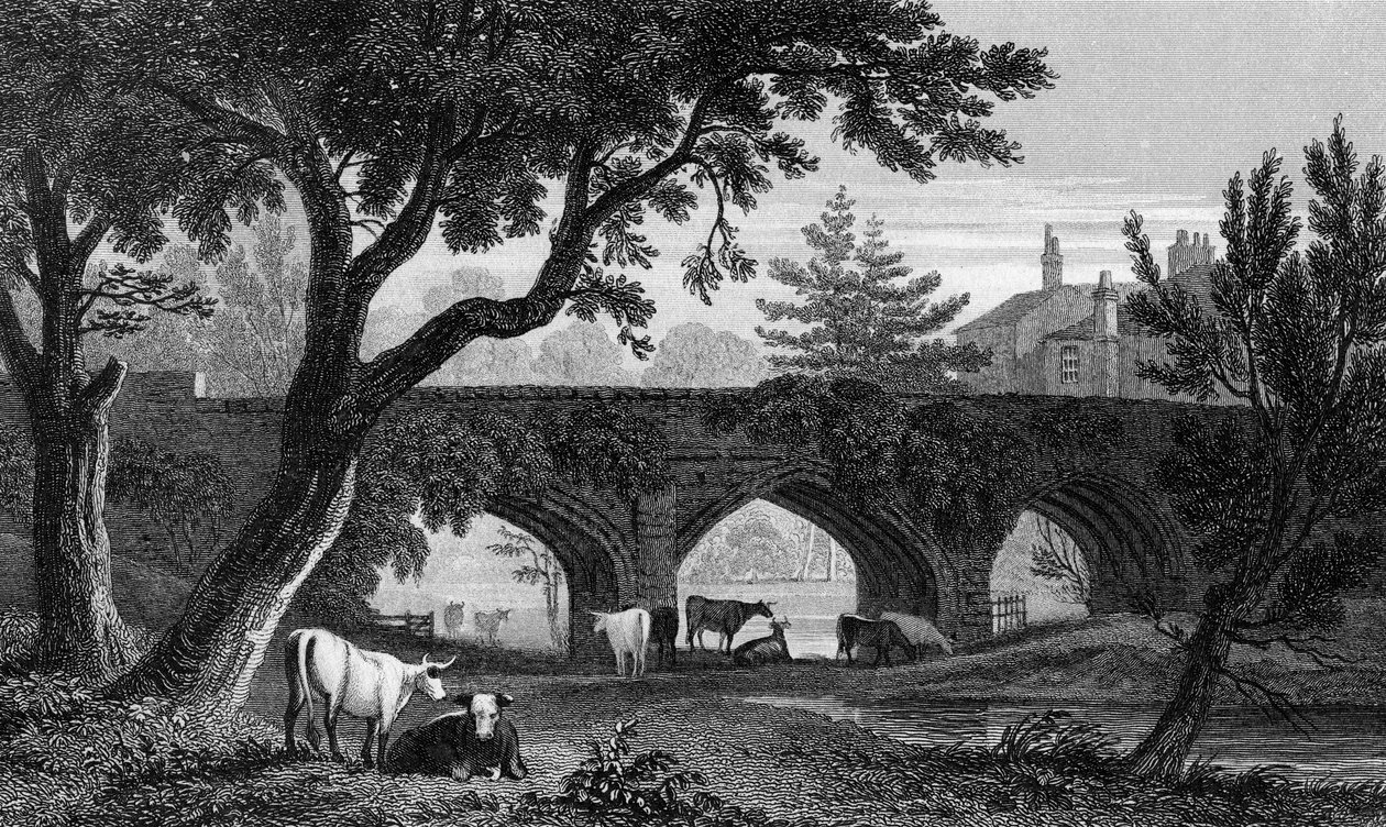 Ponte di Eltham, Kent, inciso da Henry Adlard, 1832 da Henry Gastineau
