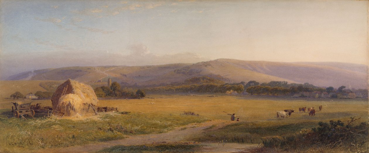Pascoli di South Downs da Henry George Hine
