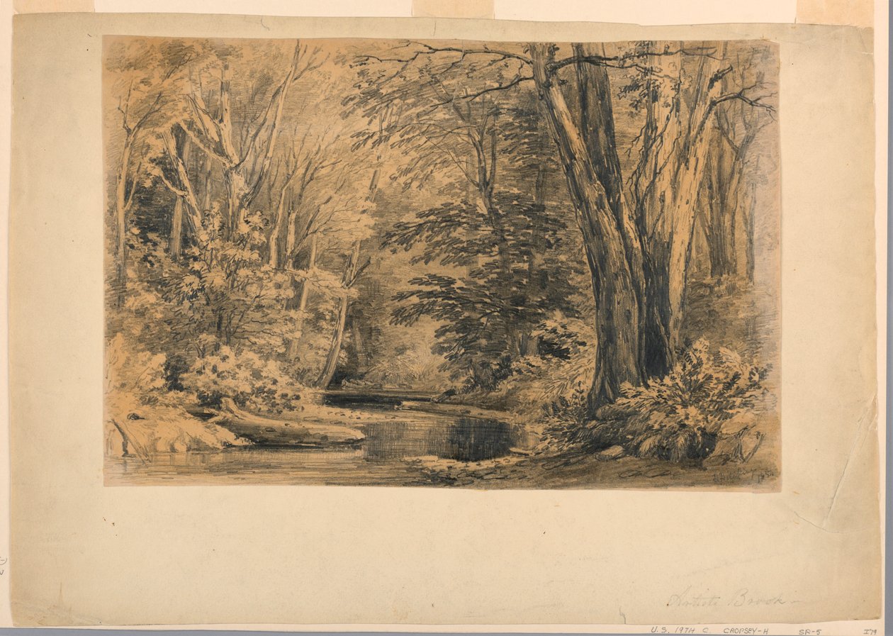 Disegno, Un ruscello nel bosco, 1854 da Henry Hitchings