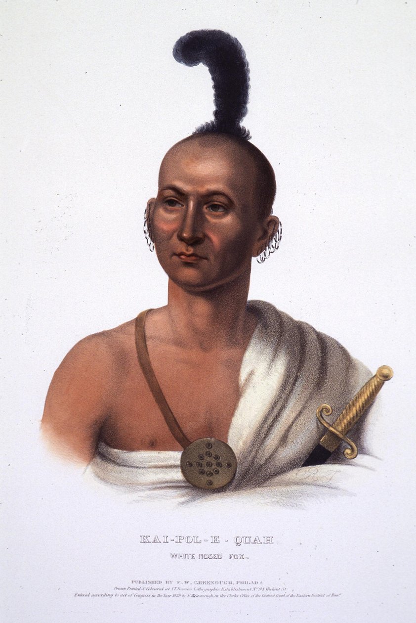 Kai-Pol-E-Quah, volpe dal naso bianco da Henry Inman