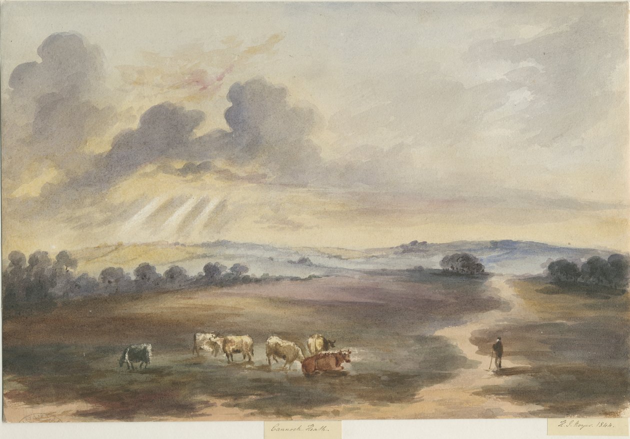 Cannock Chase - "Brughiera": acquerello, 1844 da Henry James Noyes