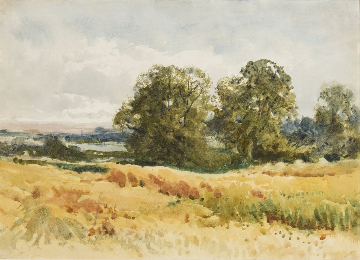 Campo di raccolto, c.1910 da Henry John Sylvester Stannard