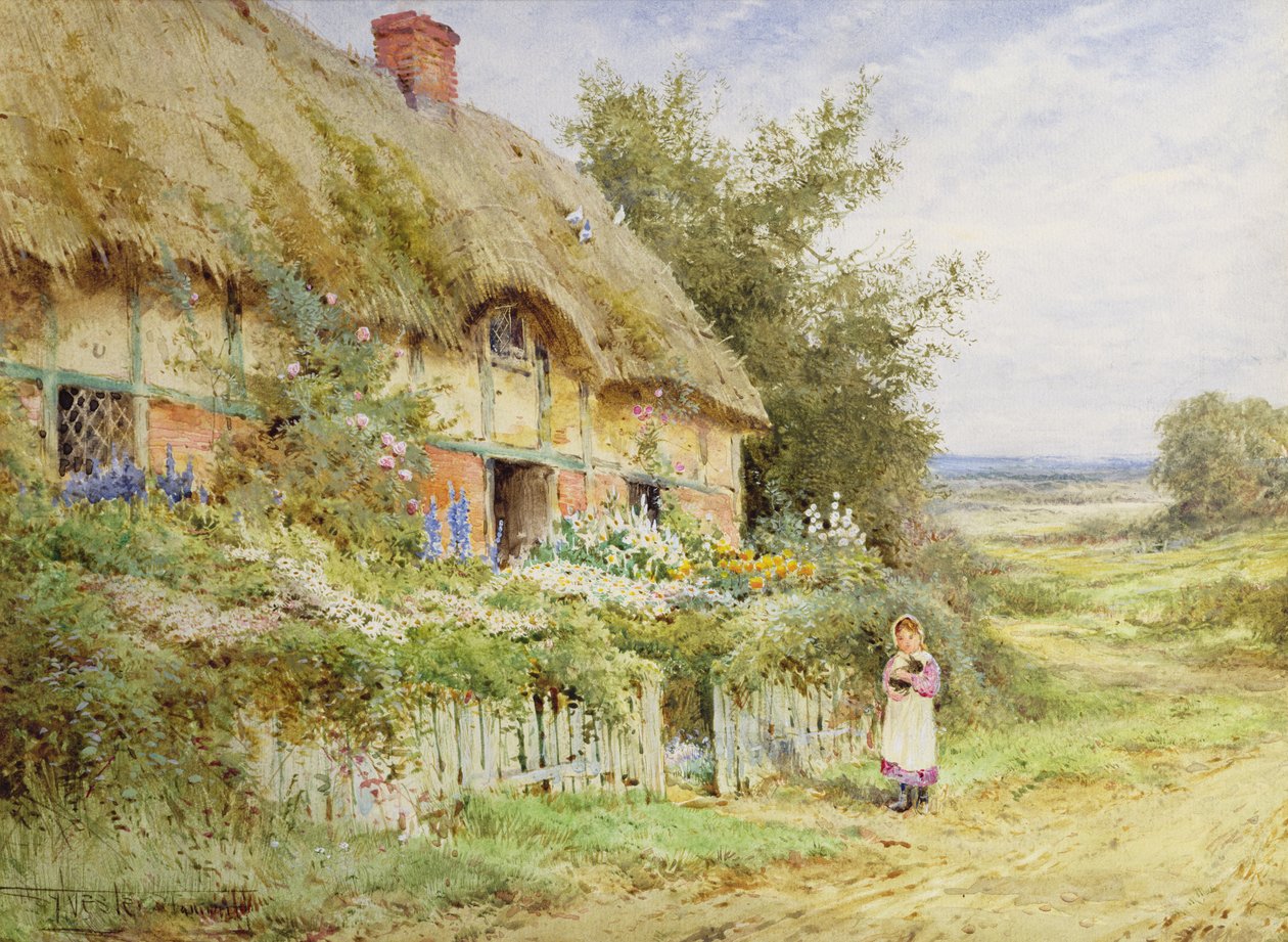 Il coniglio domestico da Henry John Sylvester Stannard