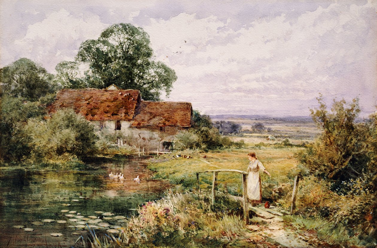 Guardando le Anatre da Henry John Sylvester Stannard