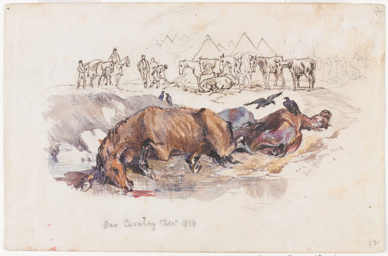 La nostra cavalleria, cavalli morti da Henry John Wilkinson