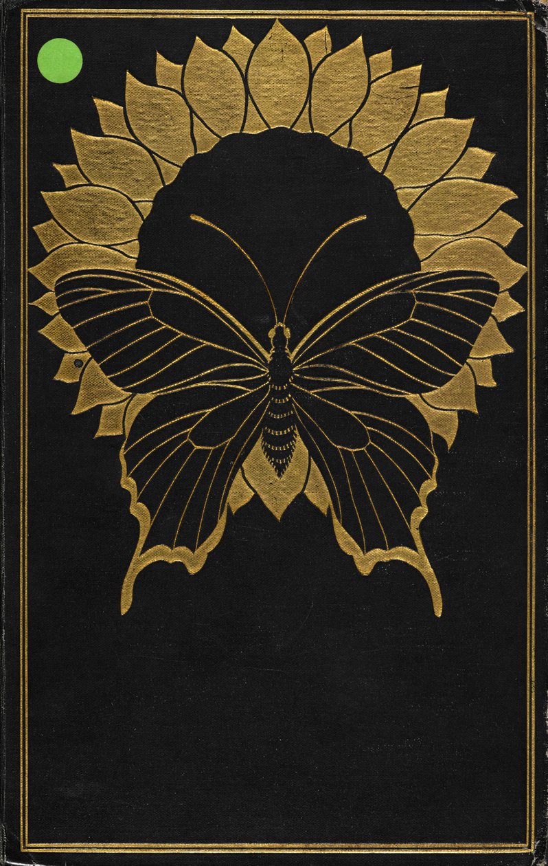 Copertina per 