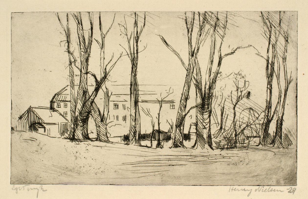 Edificio simile a un ospedale visto tra grandi alberi da Henry Nielsen