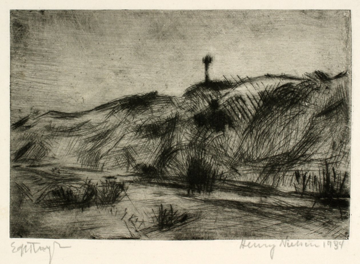 Paesaggio di dune con segnale marittimo da Henry Nielsen