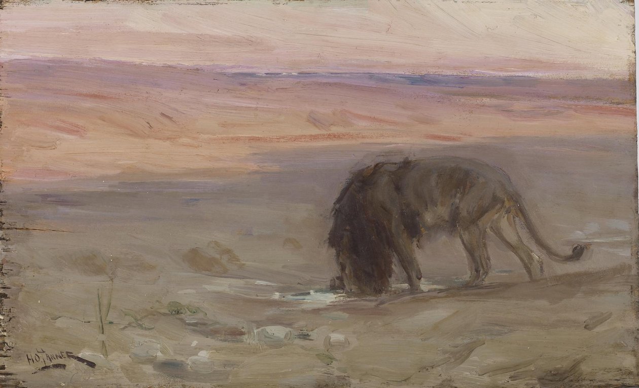 Il leone che beve da Henry Ossawa Tanner