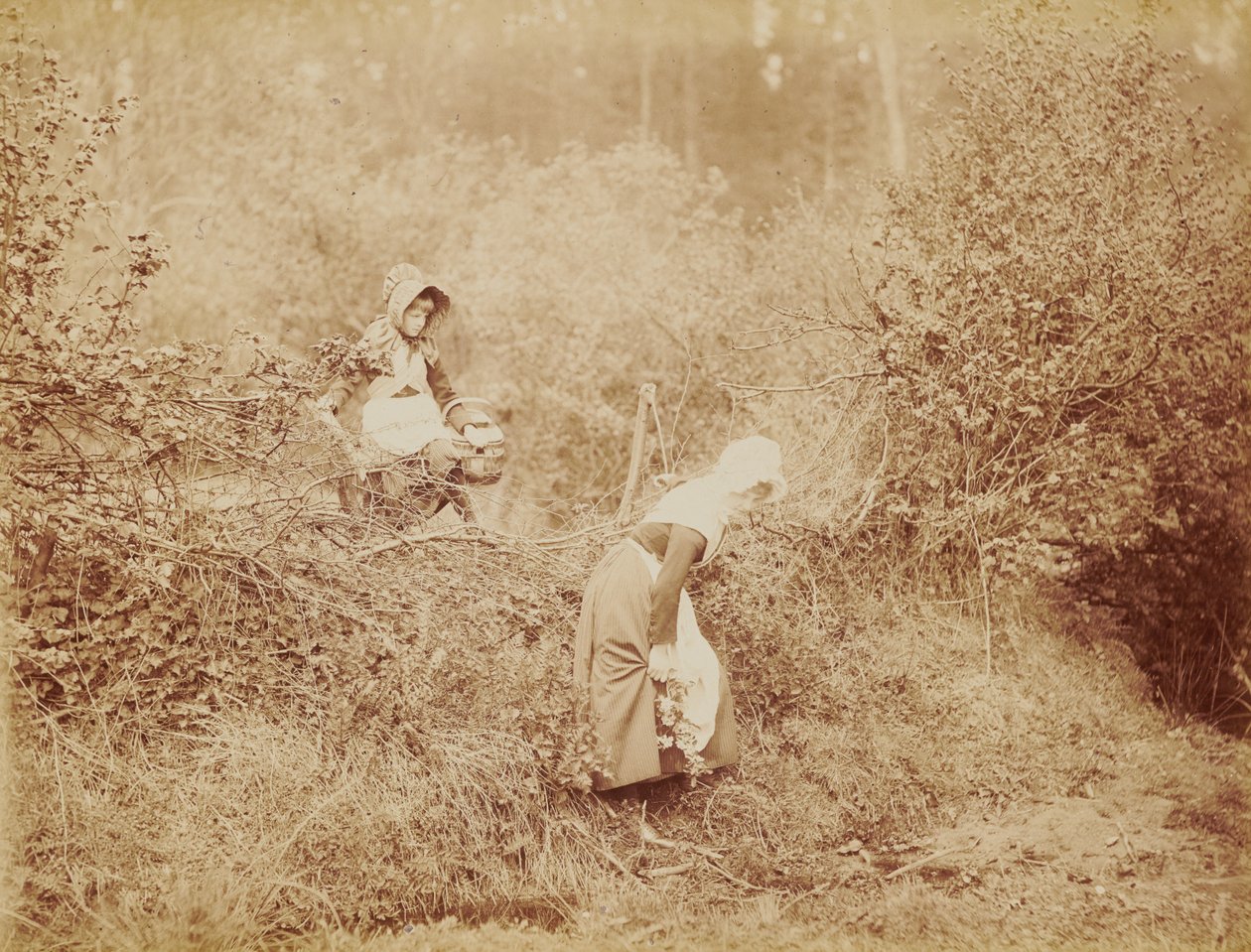 Oltre siepe e fossato da Henry Peach Robinson