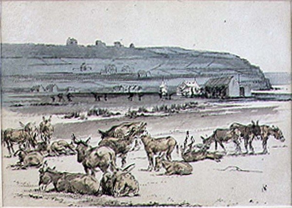 Asini sul campo da golf, illustrazione da 