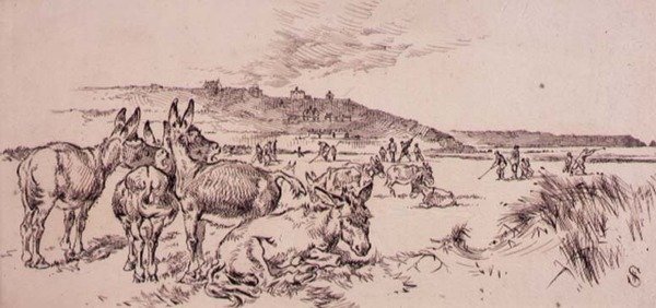Asini sul campo da golf, illustrazione da 