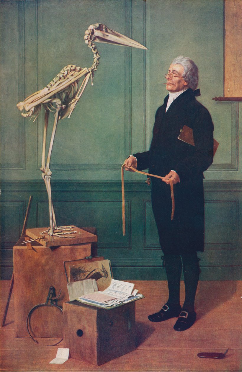 La misurazione è scienza da Henry Stacey Marks