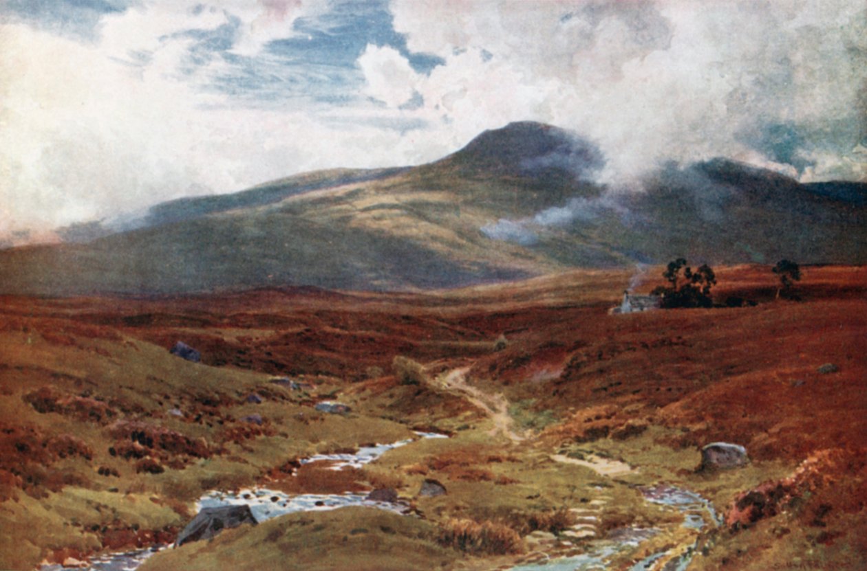 Una brughiera vicino a Killin, Perthshire (litografia a colori) da Henry Sutton Palmer