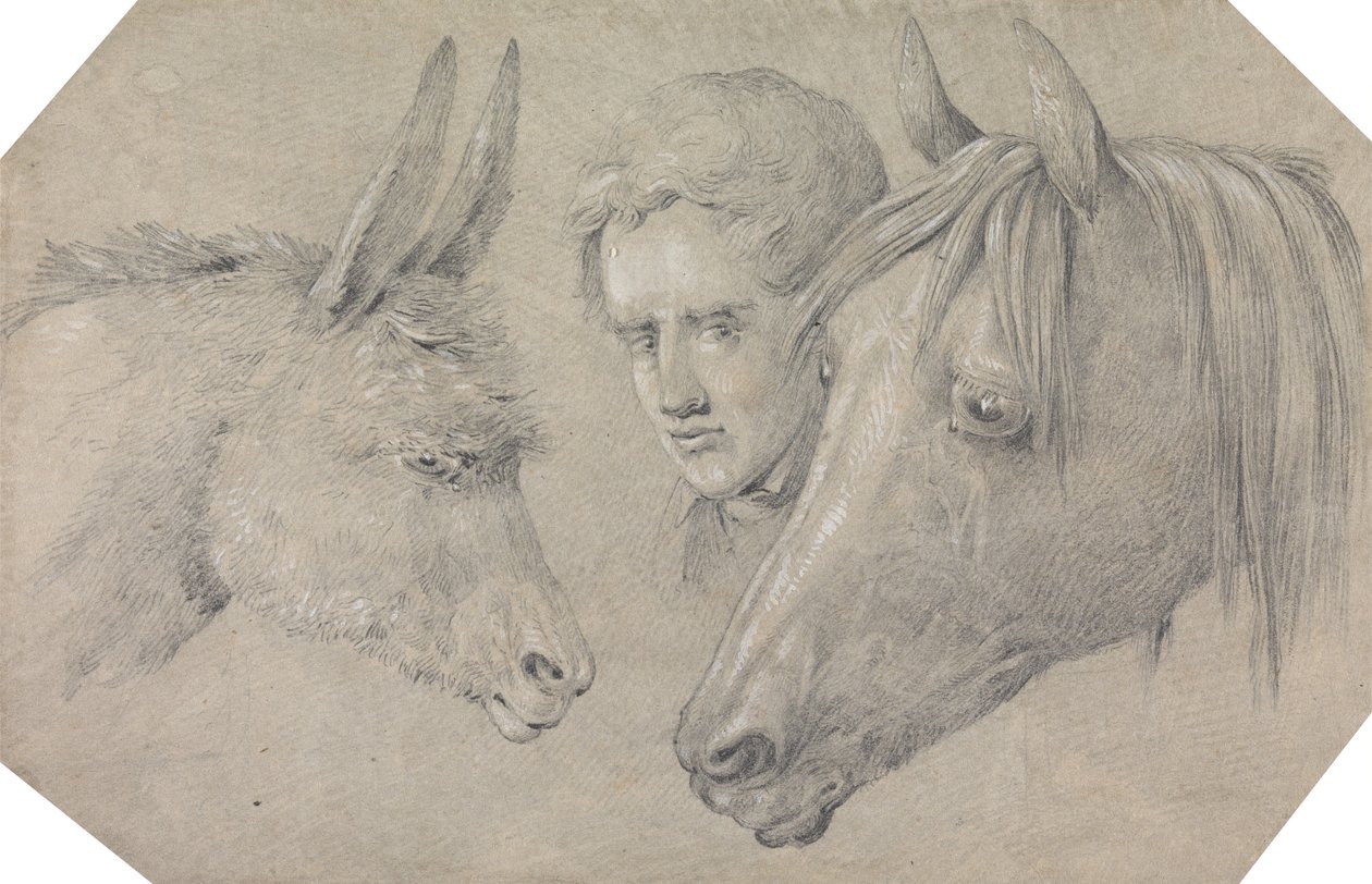 Testa di uno stalliere, che guarda tra le teste di un cavallo alla sua sinistra e di un asino alla sua destra da Henry Thomas Alken