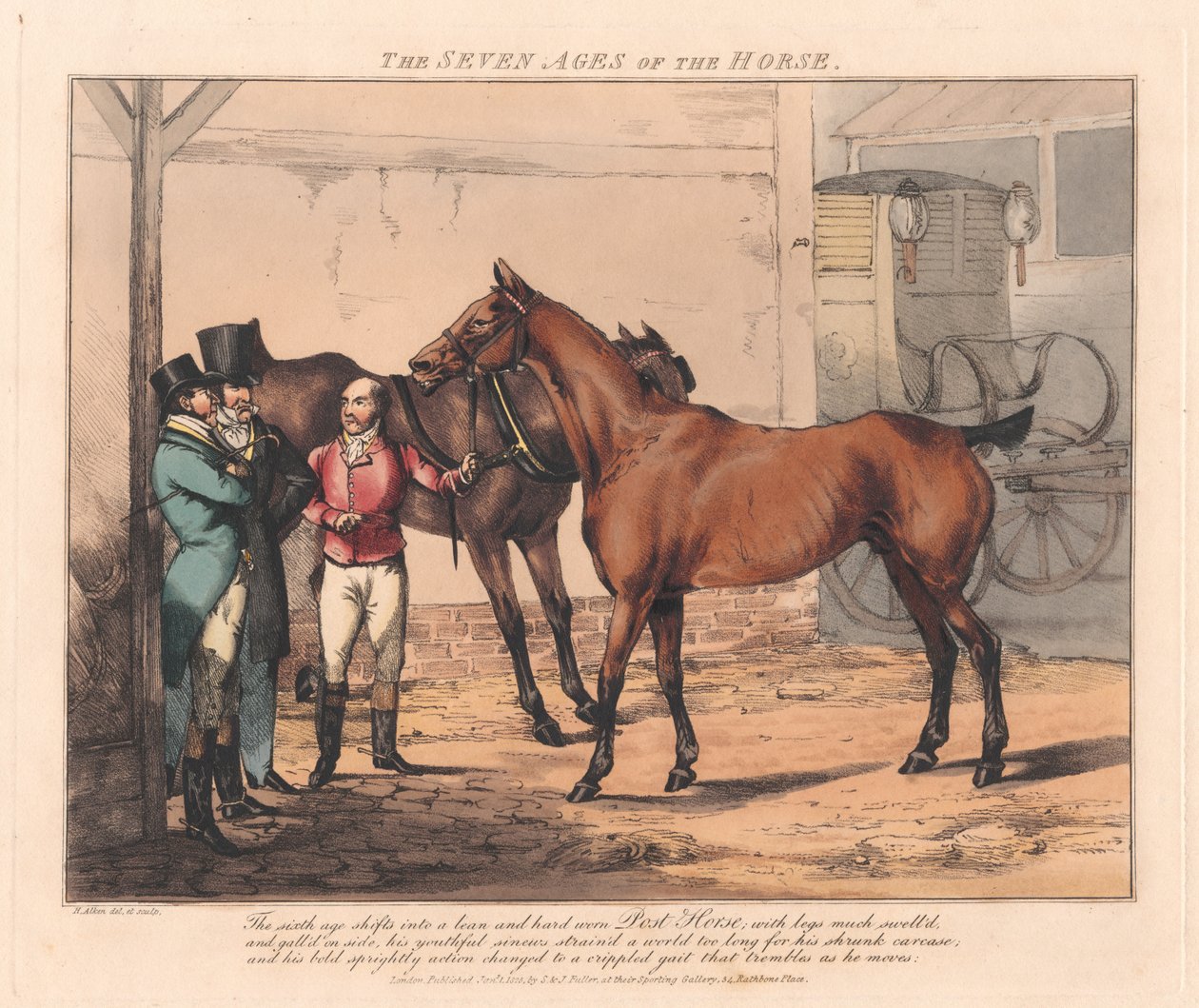 Set di sette: Le sette età del cavallo da Henry Thomas Alken