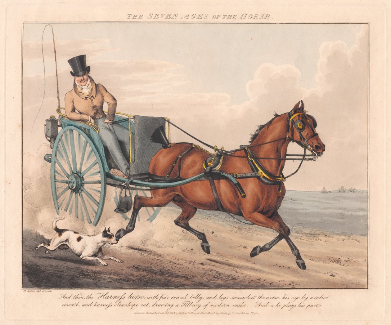 Set di sette: Le sette età del cavallo da Henry Thomas Alken