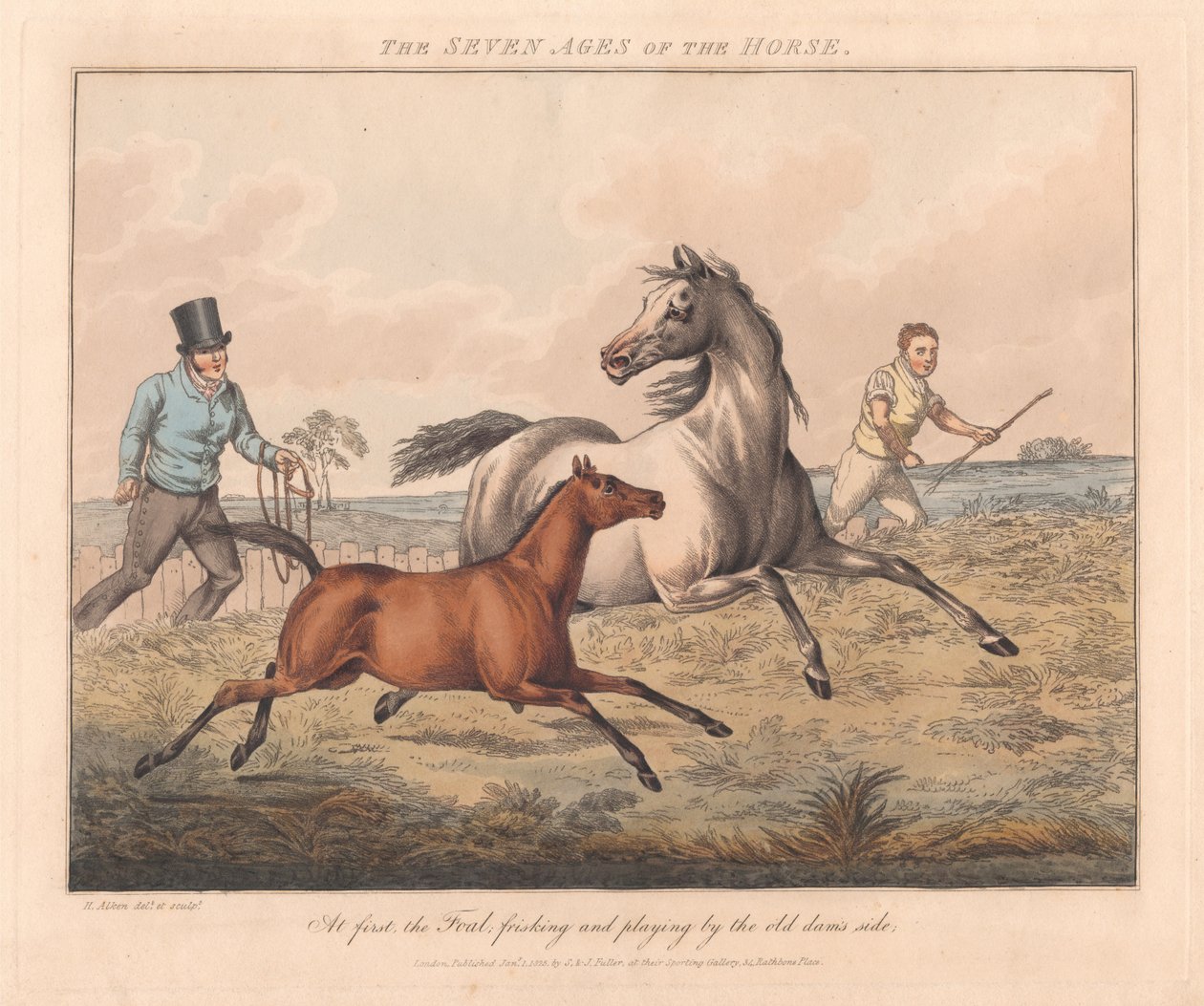 Serie di sette: Le sette età del cavallo da Henry Thomas Alken