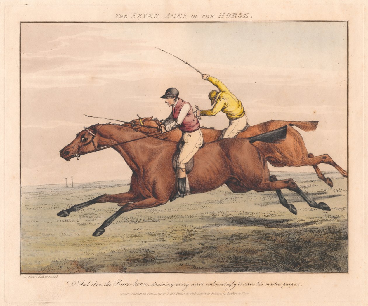 Serie di sette: Le sette età del cavallo da Henry Thomas Alken